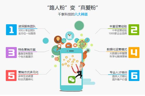 微信公众号代运营及网络接入服务项目详解与收费标准