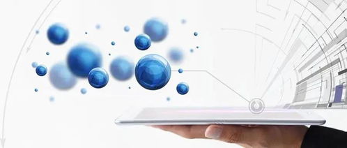 网络接入业务与服务 招商引资的新突破口